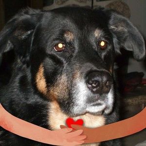 Meet your Posher, Frank